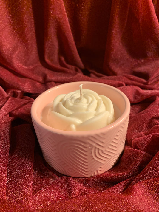 Blushing Pink Rose