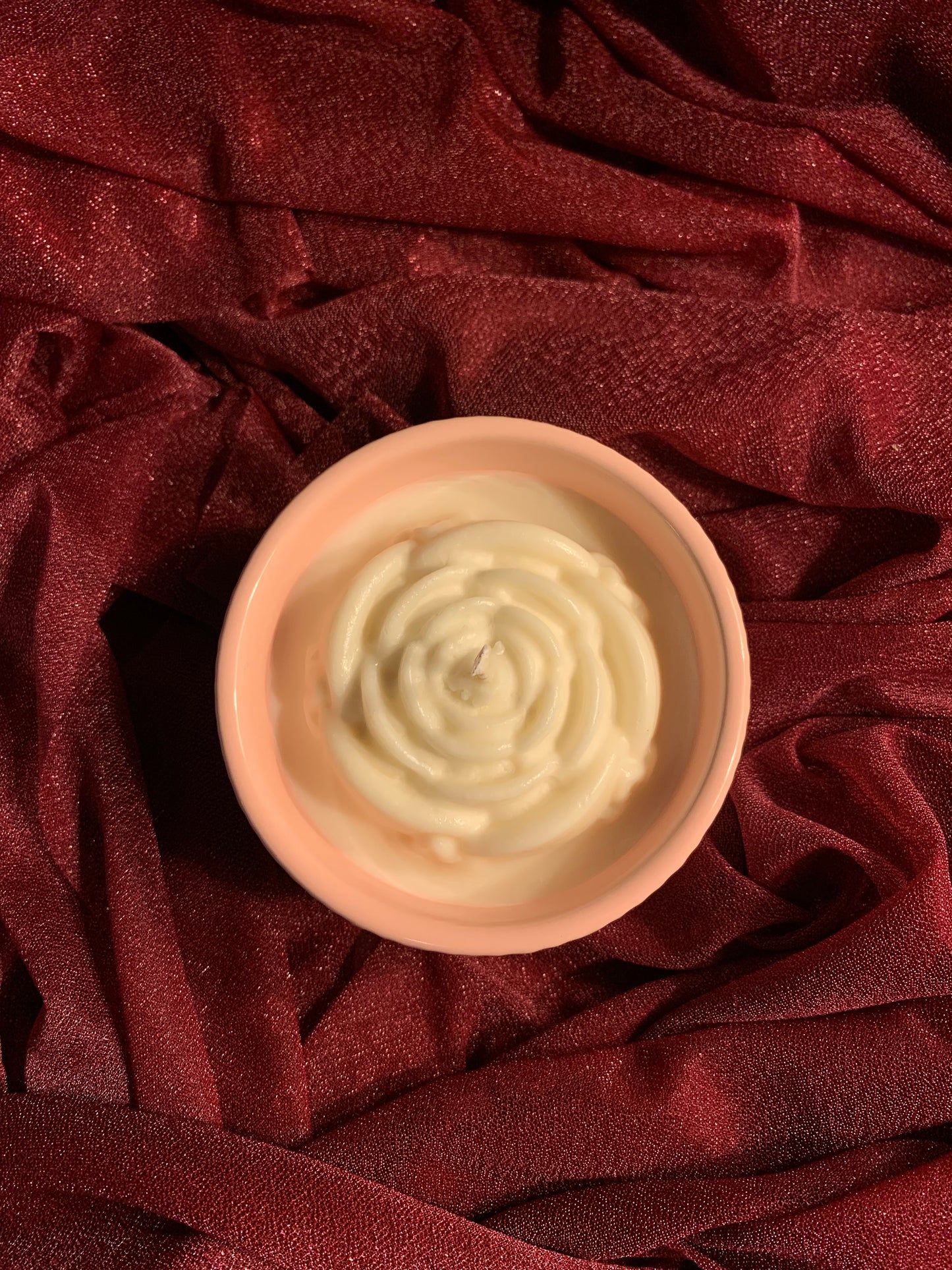Blushing Pink Rose